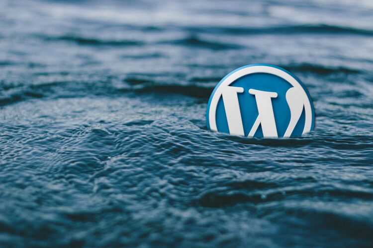 WordPress is Vulnerable
